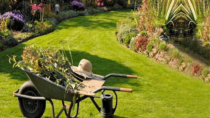 Bahçe Temizliği ve Düzenlenmesi